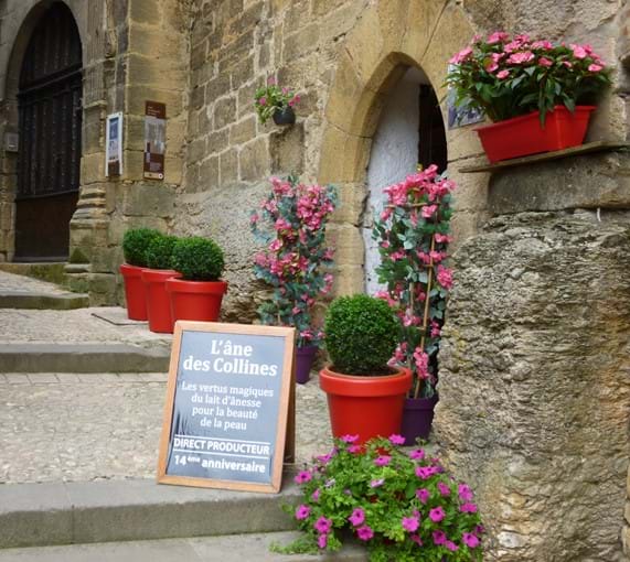 self catering holidays in gites in sarlat